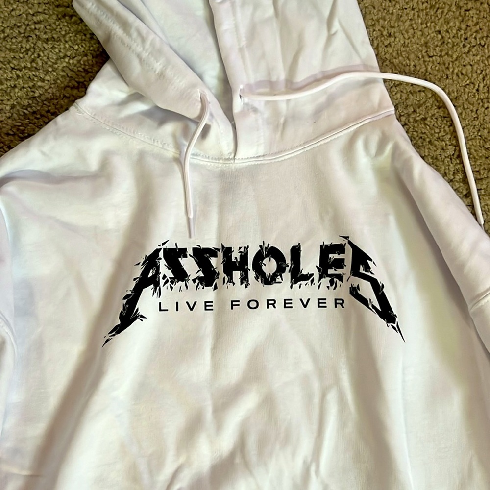 ALF shattered glass logo hoodie